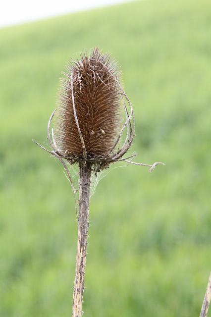1239 Wandeling vanaf camping.JPG
